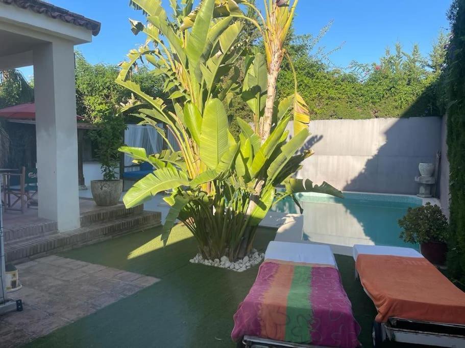 Atuaire Home Sevilla Mairena del Aljarafe Buitenkant foto