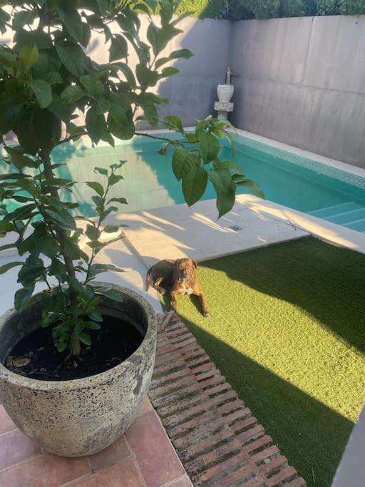 Atuaire Home Sevilla Mairena del Aljarafe Buitenkant foto