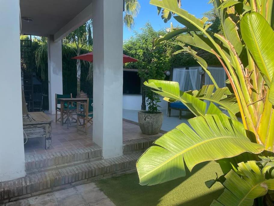 Atuaire Home Sevilla Mairena del Aljarafe Buitenkant foto